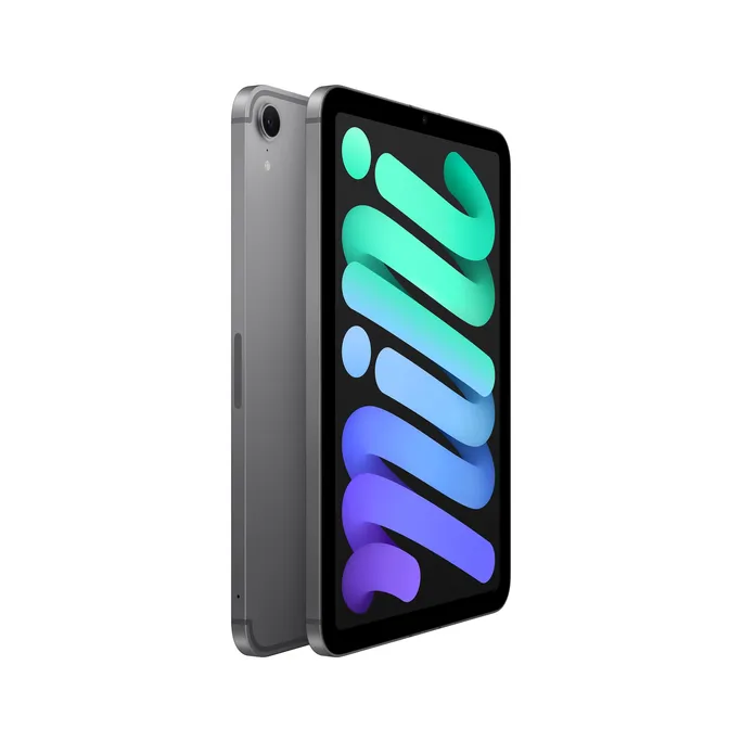 Apple iPad mini 2024 WiFi + Cellular 128 GB Space Grau MXPN3NF/A – Bild 3